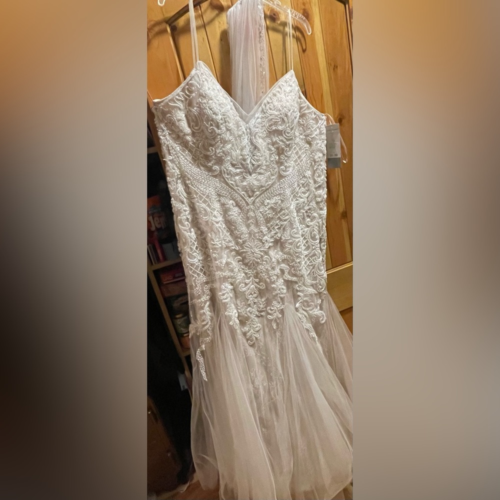 Size 21/22 Wedding Dress And Veil